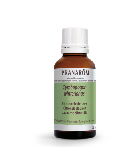 Citronela De Java Partes Aereas 30 Ml de Pranarom