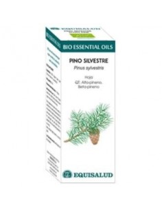 Bio Essential Oil Pino Silvestre - Qt: Alfa-Pineno, Beta-Pineno 10 Ml de Equisalud