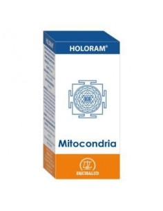 Holoram Mitocondria 60 Cáp. de Equisalud