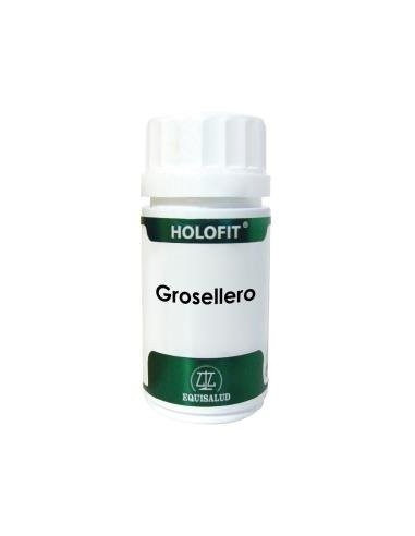 Holofit Grosellero  60 Cáp. de Equisalud