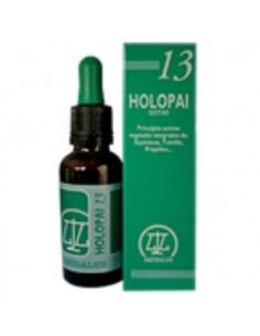 Pai-13 Holopai...