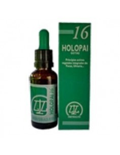 Pai-16 Holopai (Terreno...