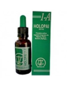 Pai-1A Holopai...