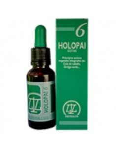 Holopai 6 31 Ml de Equisalud