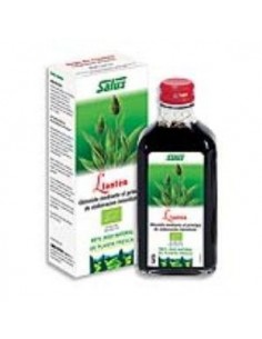 Jugo De Llanten 200Ml. Schoenenberger de Salus
