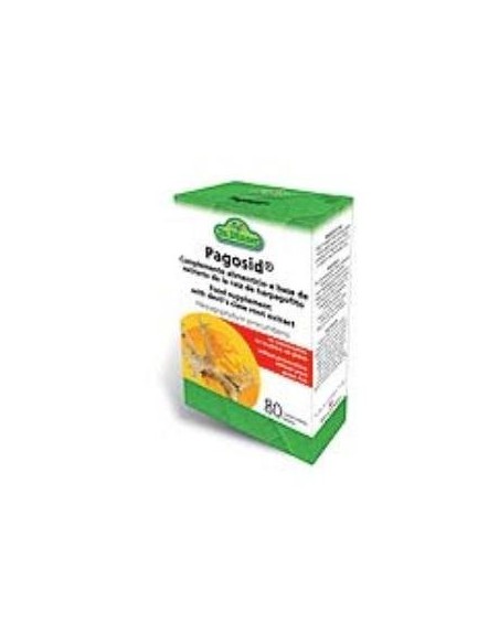 Pagosid (Harpago) 60 Comprimidos Dr.Dunner de Salus