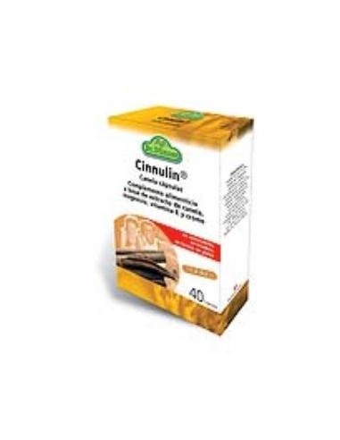 Cinnulin 40Cap. Dr.Dunner de Salus