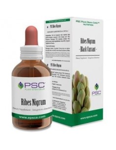 Psc Ribes Nigrum 15Ml. de Forza Vitale