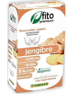 Fito Premium Jengibre...
