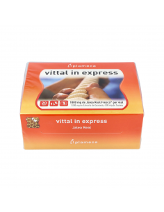 Vittal In Express 20 Viales De 10 Ml De Plameca