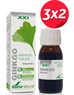Pack 3X2 Ext. Ginkgo Biloba...
