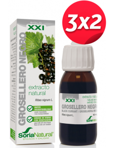 Pack 3X2 Ext. Grosellero...