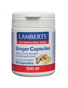 Ginger 12000Mg. Jengibre 60Cap. de Lamberts