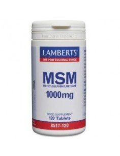 Msm 120 Comprimidos de Lamberts