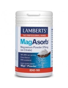 Magasorb Polvo 165Gr. de Lamberts