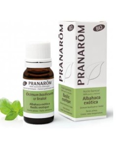 Albahaca Exotica Partes Aereas Bio (Eco) 10 Ml de Pranarom