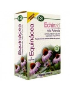 Echinaid (60 Naturcaps) De Esi