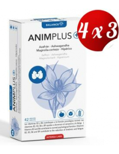 Pack 4x3 Animplus 42 capsulas de Intersa