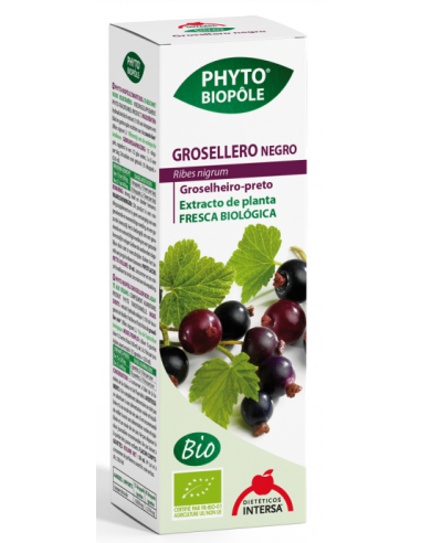Pack 4x3 Phyto-Bipole Bio Grosellero Negro 50 Ml de Intersa