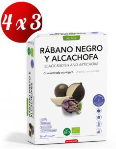 Pack 4x3 Bipole Rabano...
