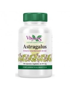 Astragalus 500 mg Extracto Estandarizado 120  Cápsulas Vegetales Vbyotics