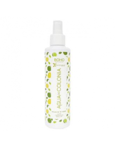 Agua De Colonia Te Verde 200 Mililitros Boho