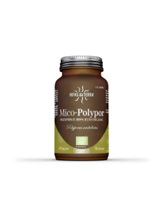 Mico Polypor (Polyporus) Hdt 70Cap. de Hifas Da Terra - Hdt