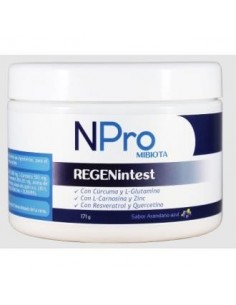 Regenintest 167 Gramos sabor Arándano Azul Npro