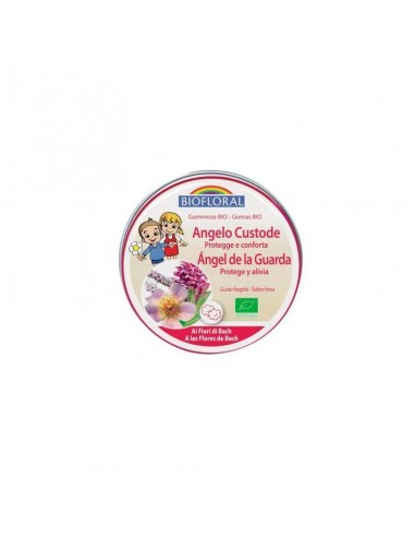 Fdb Gomas Para Niños - Ángel De La Guarda Bio - 45 Gde Biofl