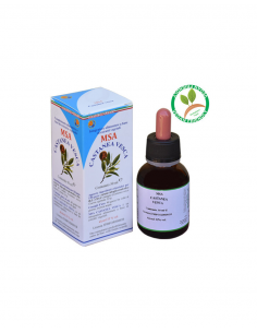 Msa Castanea Vesca  Yemas (Castaño) de Herboplanet