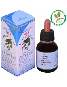 Msa Populus Nigra Yemas (Alamo Negro) de Herboplanet