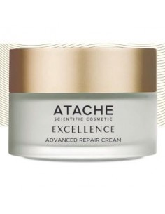 Excellence Advanced Repair...