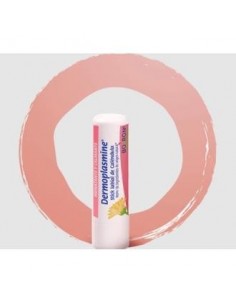 Dermoplasmine  Stick Labial 4 Gramos Boiron