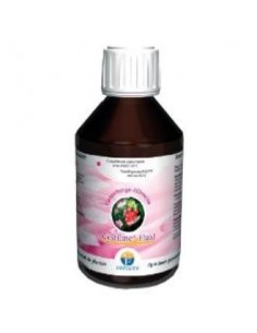 Cystiline Fluid 250Ml. de Fenioux