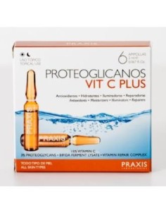 Proteoglicanos Vit C Plus 6 Ampollas Praxis