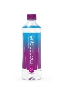 Agua Alcalina Ph 9,5 510 Mililitros Monchique