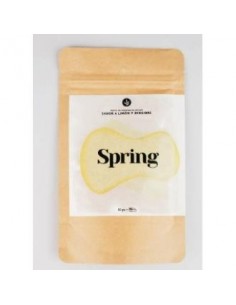 Spring Recarga Dentifrico Limon 120 Gramos Eco Vegan Banbu