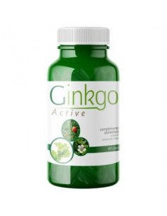 Ginkgo Active 60 Cápsulas  Saludalkalina