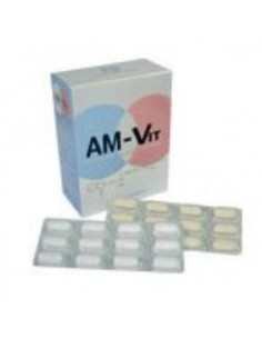 Am-Vit (Aminoac.+Vit+Minerales+Oligoel) 100+24Comp Praxis