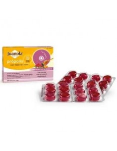 Juanola Past Propolis Hedera-Miel-Frut Bosque 24Ud Juanola