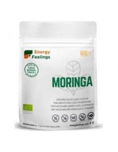 Moringa Polvo 200 Gramos Eco Vegan Sg Energy Feelings