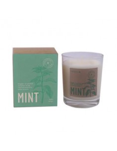 Vela Vaso Botvasm Mint...