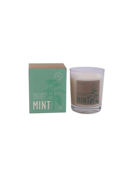 Vela Vaso Botvasm Mint Menta 7,5X9Cm 1Ud Cerabella