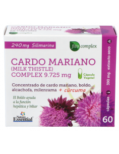 Cardo Mariano Complex...