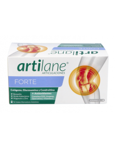 Artilane Forte 15Viales de...