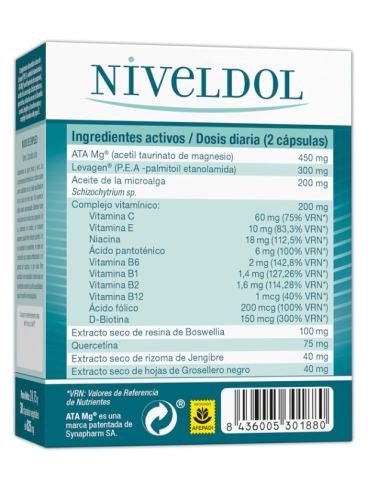 Pack 2 uds Niveldol de Tongil