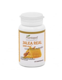 Ayurvedic Power Infusión de...