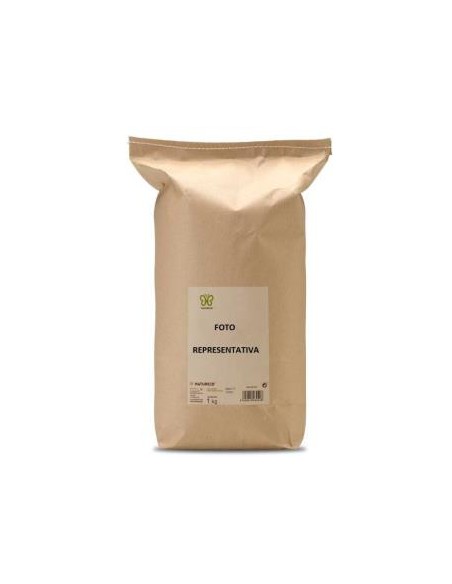 Zaragatona 1Kg. de Naturcid