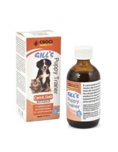 Gill´S Atrayente Cachorros...