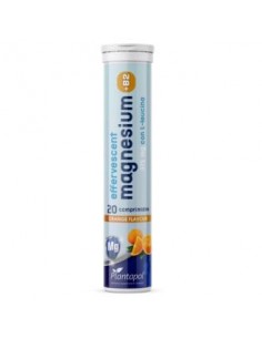 Magnesium+B2 Con Leucina...